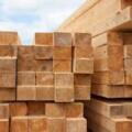 Sourcing Ethiopian Timber: Species, Quality, and Sustainable Practices”